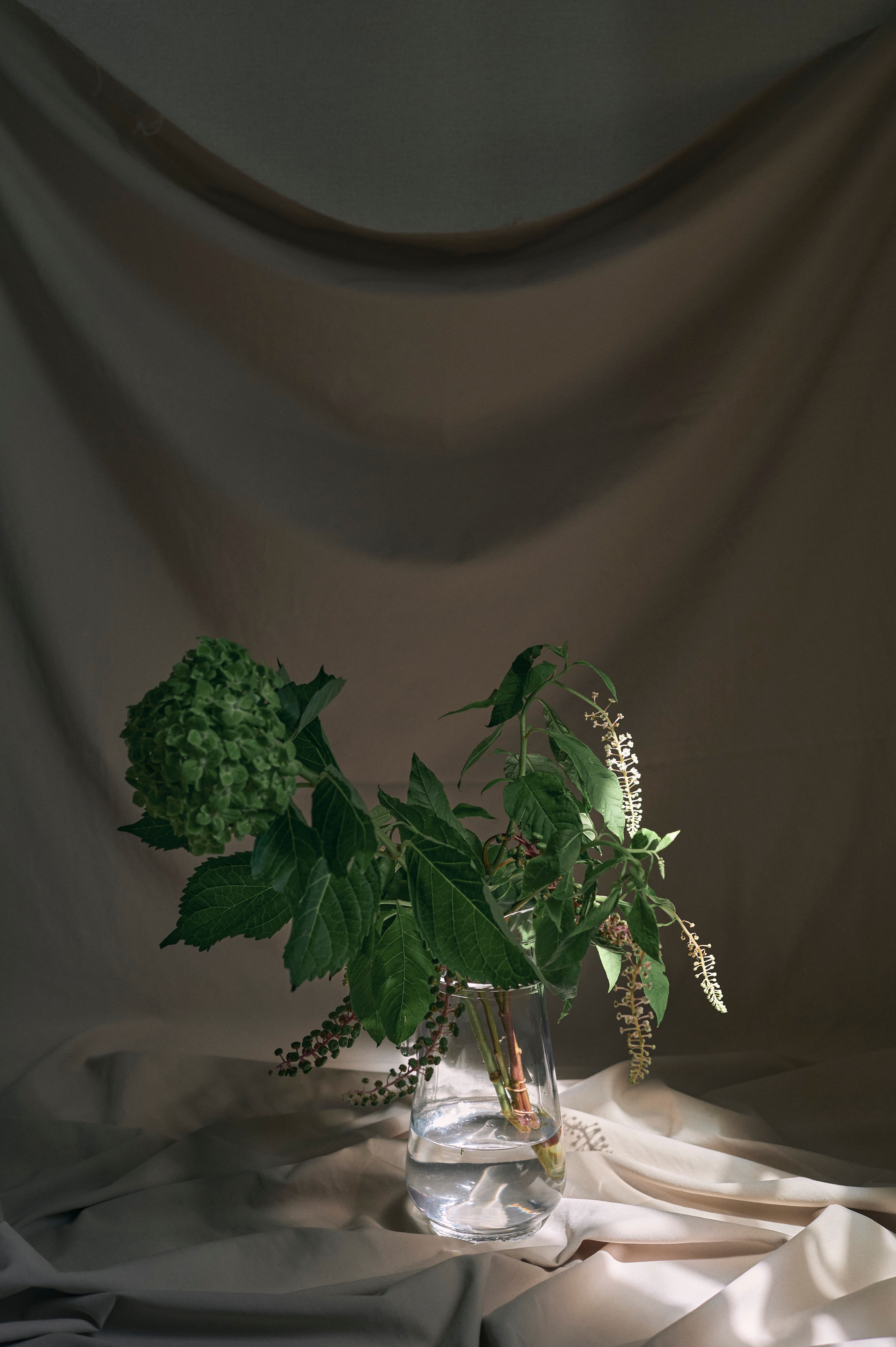 布と花瓶の花に差す光