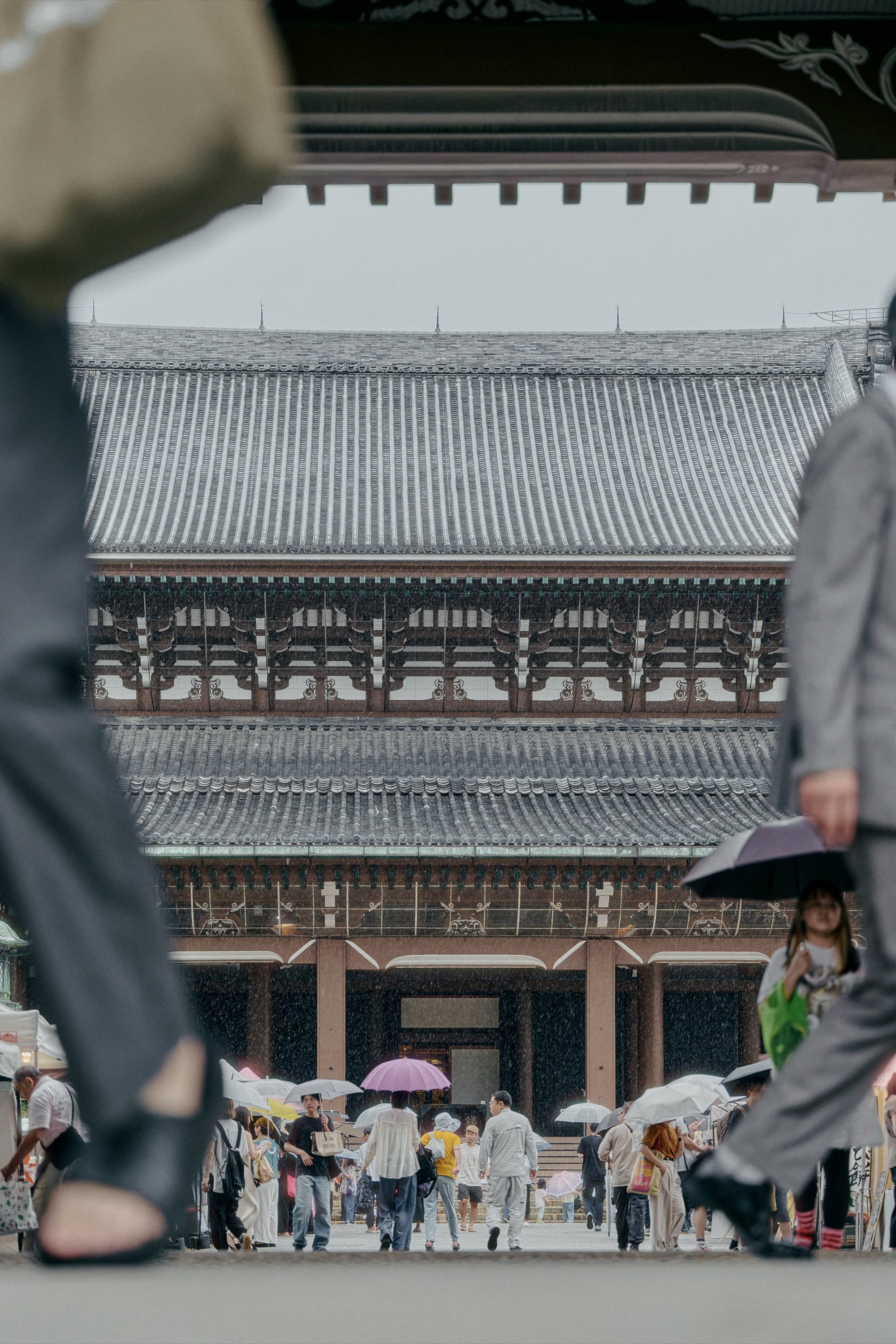 雨の日に門越しに見る寺院