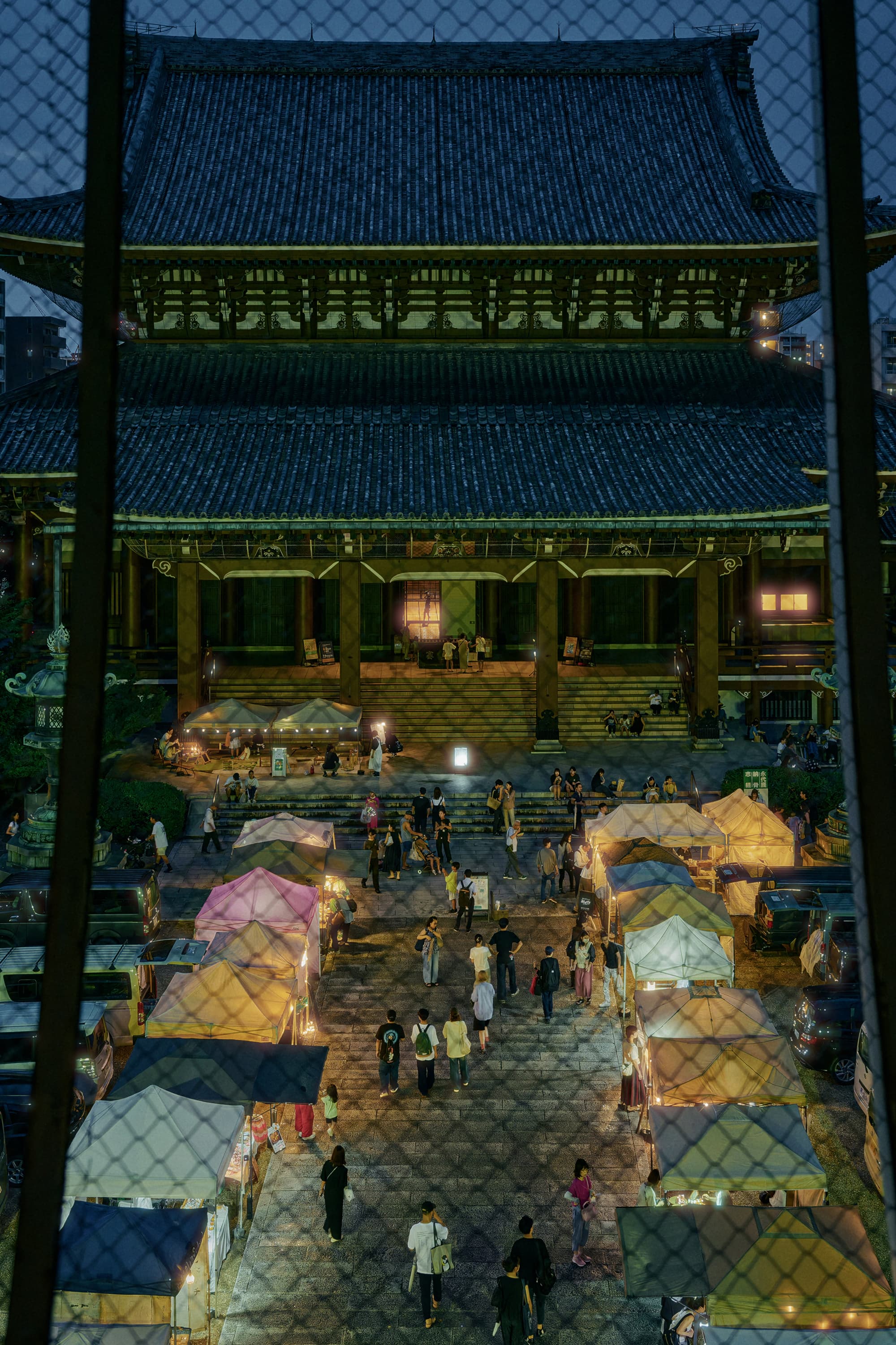 金網越しに見る夜の寺院