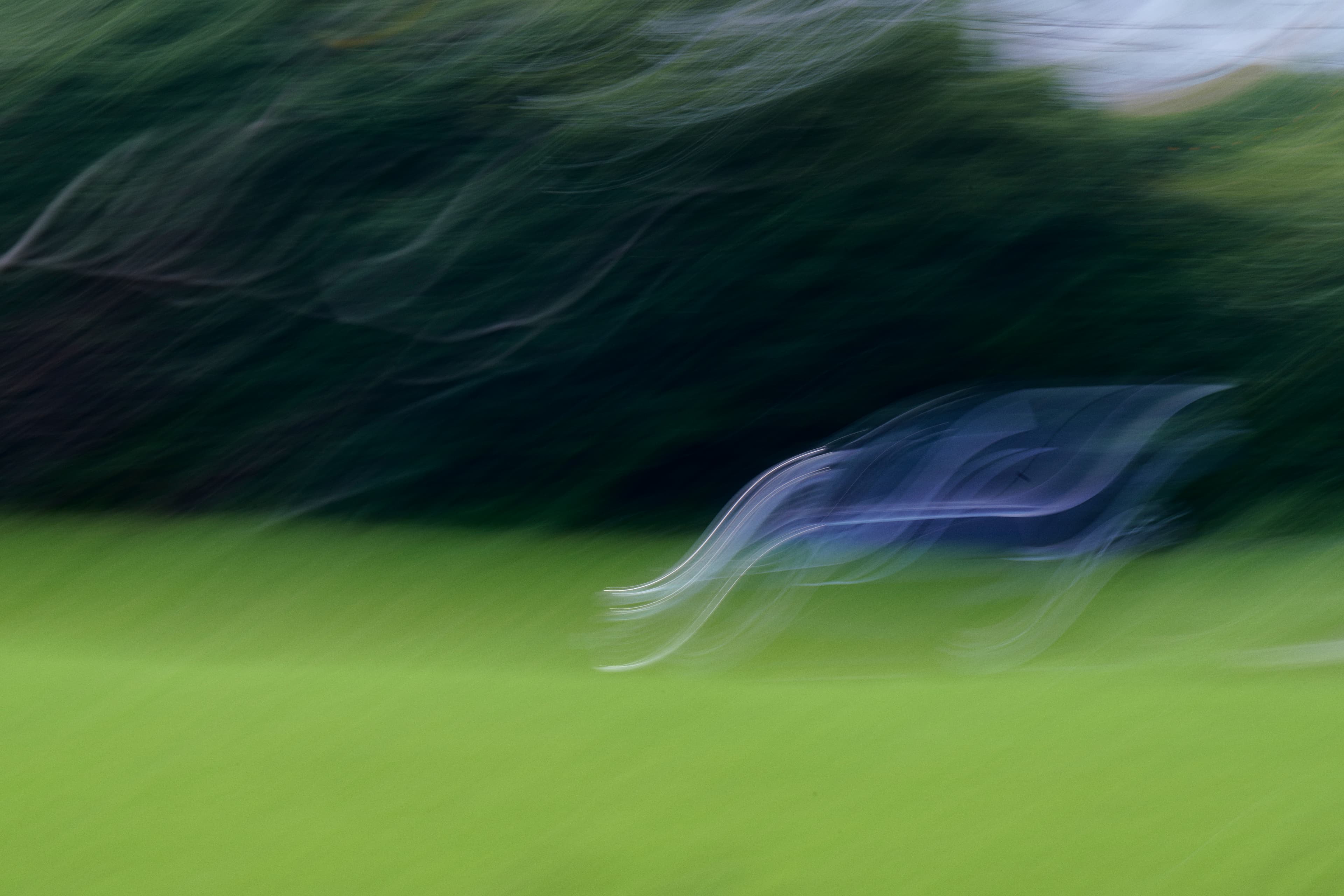 緑の風景の中を走る車